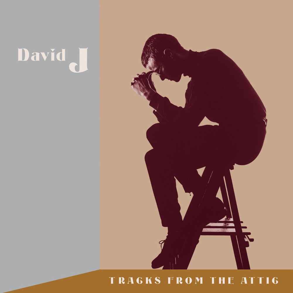 Tracks From The Attic (W/Cd) (Brwn) [Clear Vinyl]