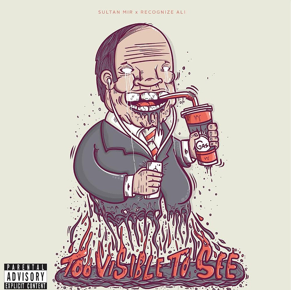 Sultan Mir & Recognize Ali - Too Visible Too See [LP] Vinyl Record