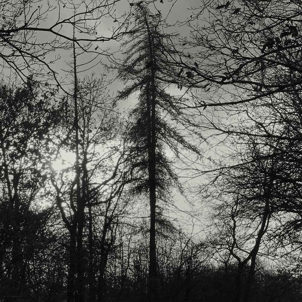 Feral Earth [LP]