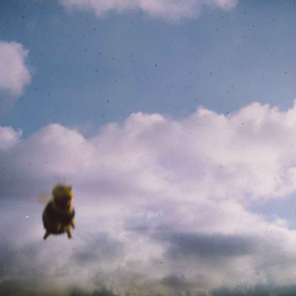 Stung [CD]