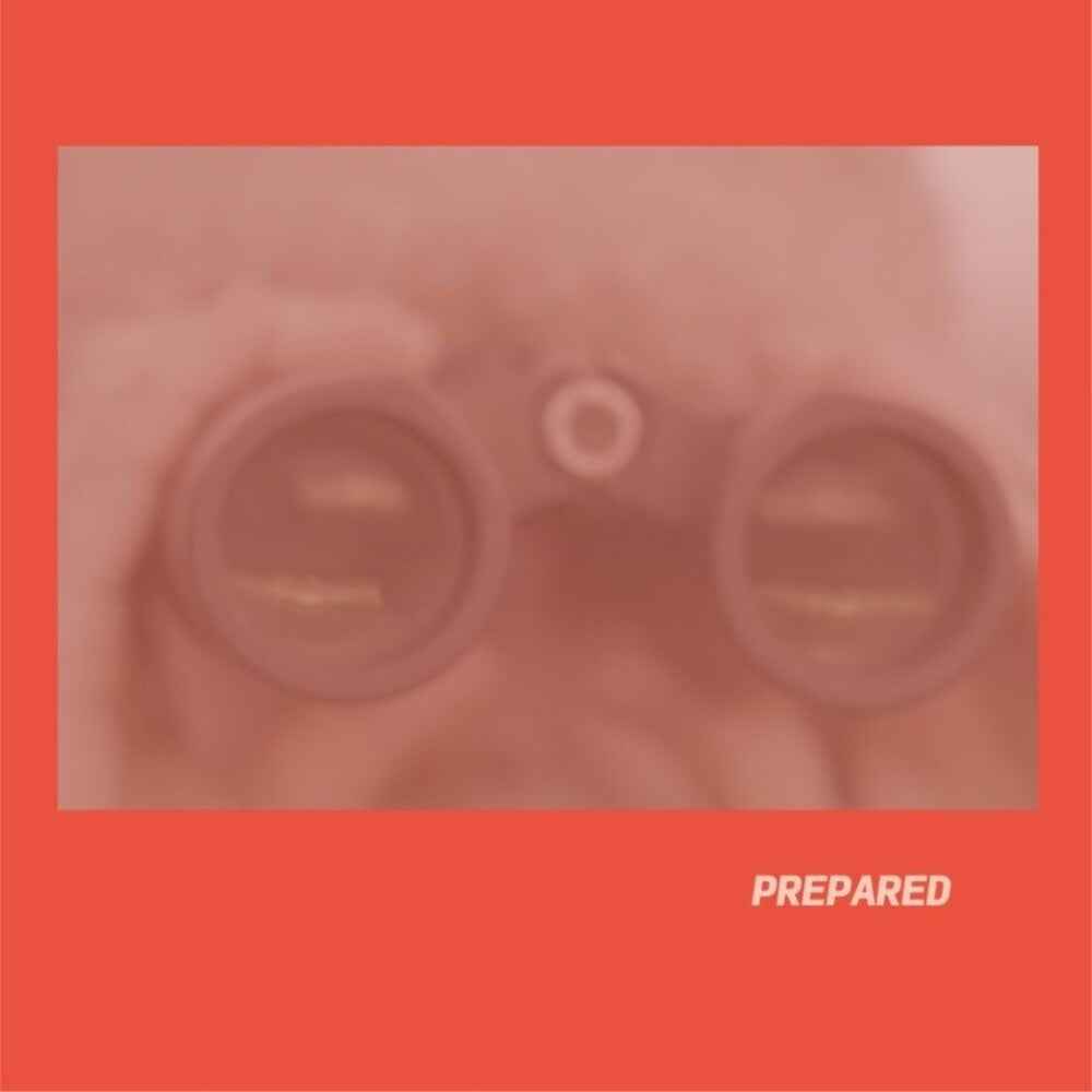 Prepared - Rose Pink Vinyl (Uk) [LP]