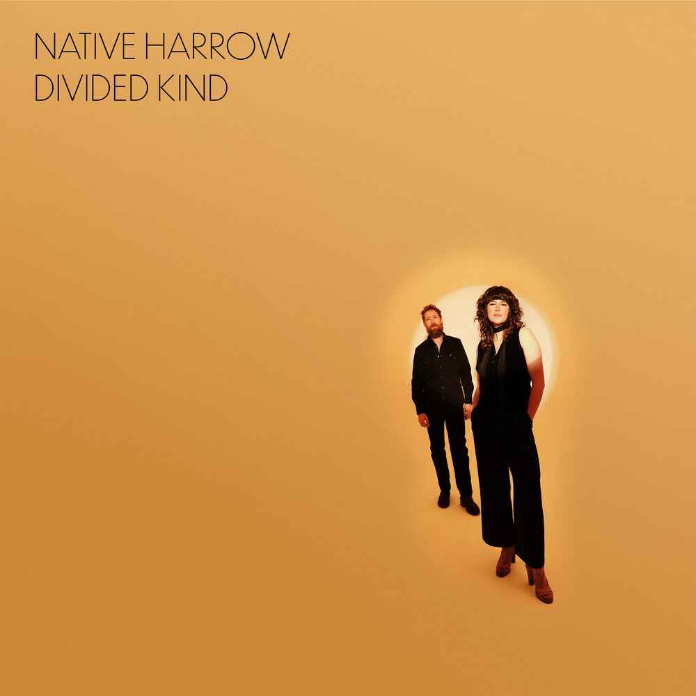Divided Kind [LP]