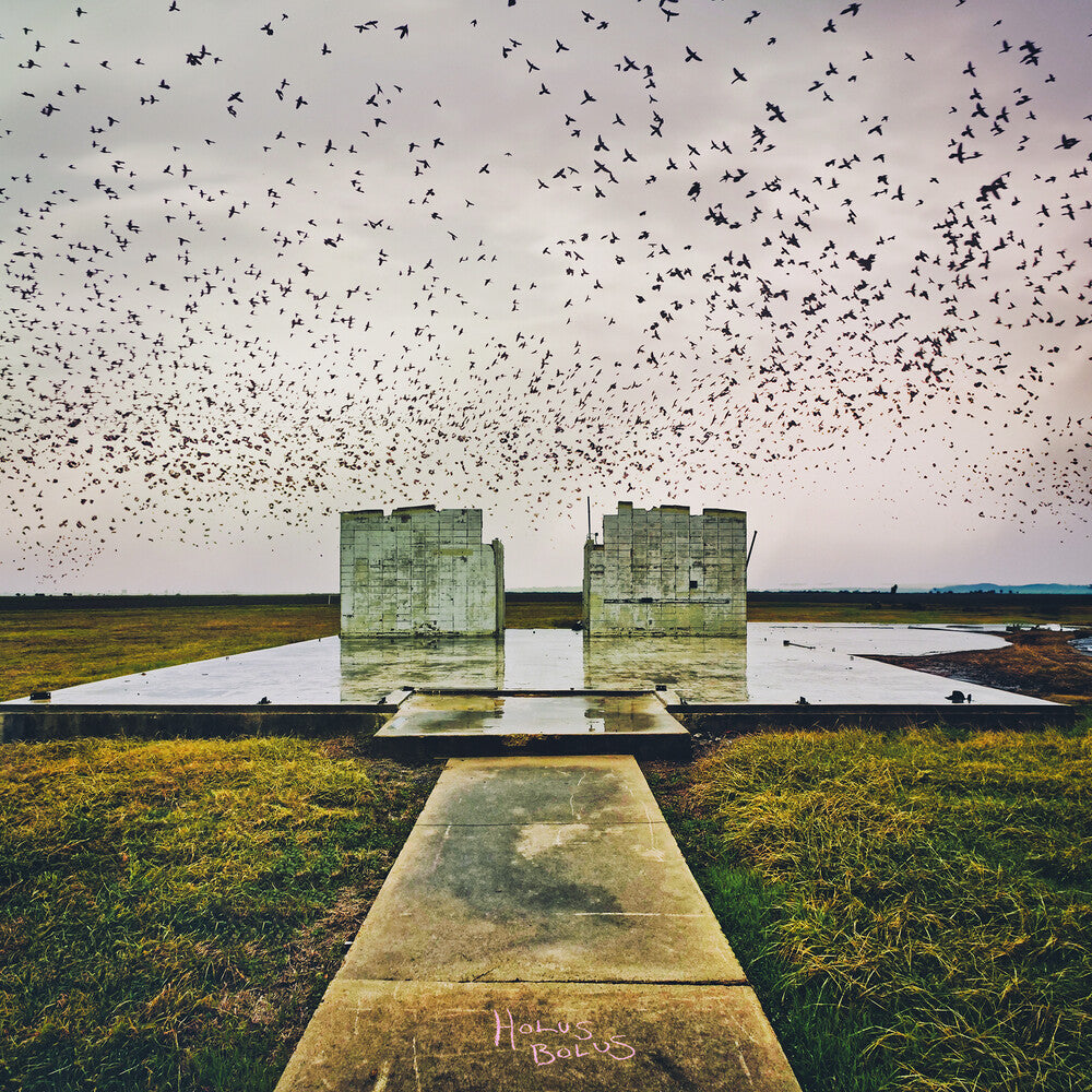 Lord Buffalo - Holus Bolus (Gate) [LP] Vinyl Record