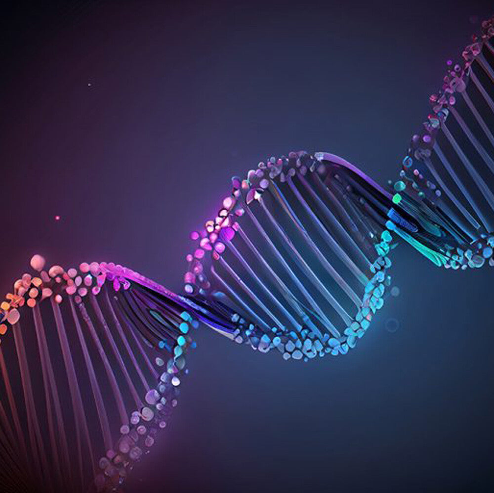 John Holden - Proximity& Chance (Uk) [CD]