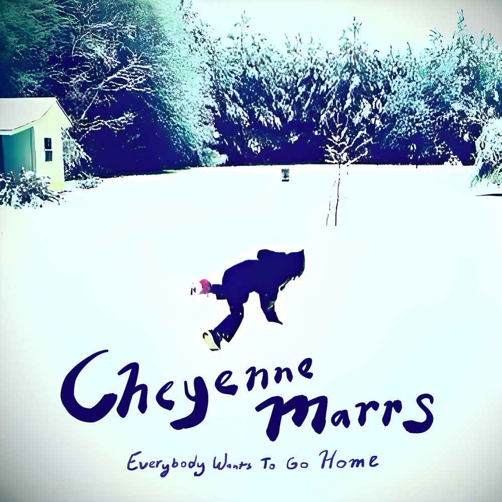 Everybody Wants To Go Home [LP]