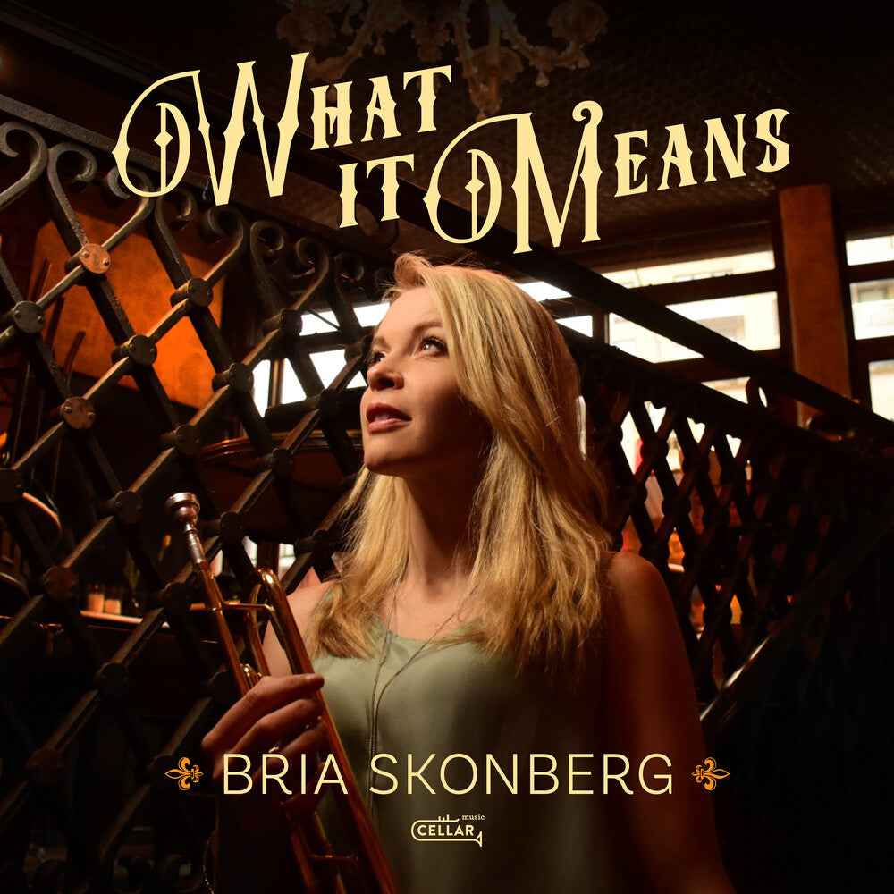 What It Means (Black Vinyl) (Blk) [Colored Vinyl]