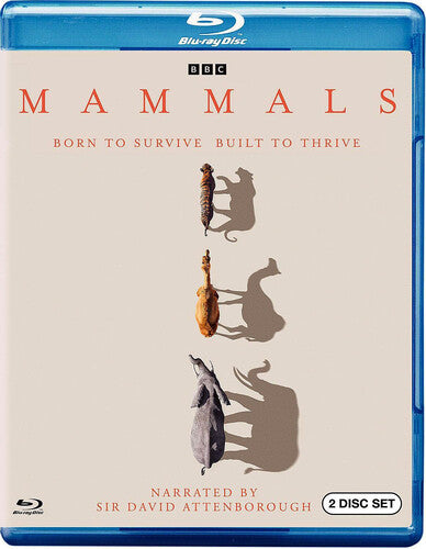 Mammals - Mammals - Blu-ray