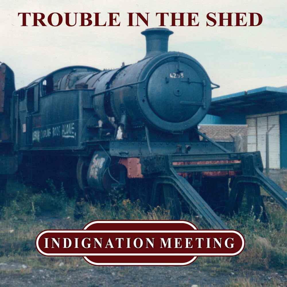 Trouble In The Shed [LP]