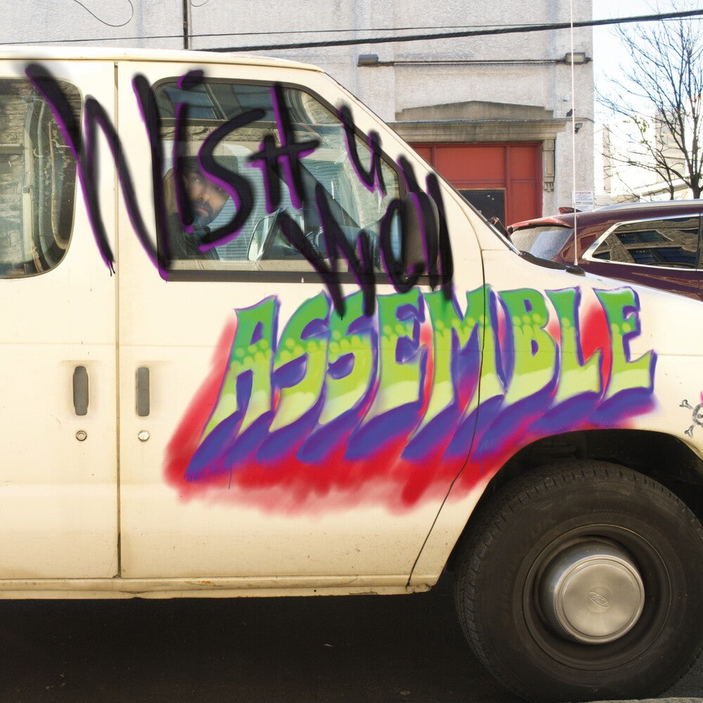 Assemble - Wish You Well [LP] Vinyl Record