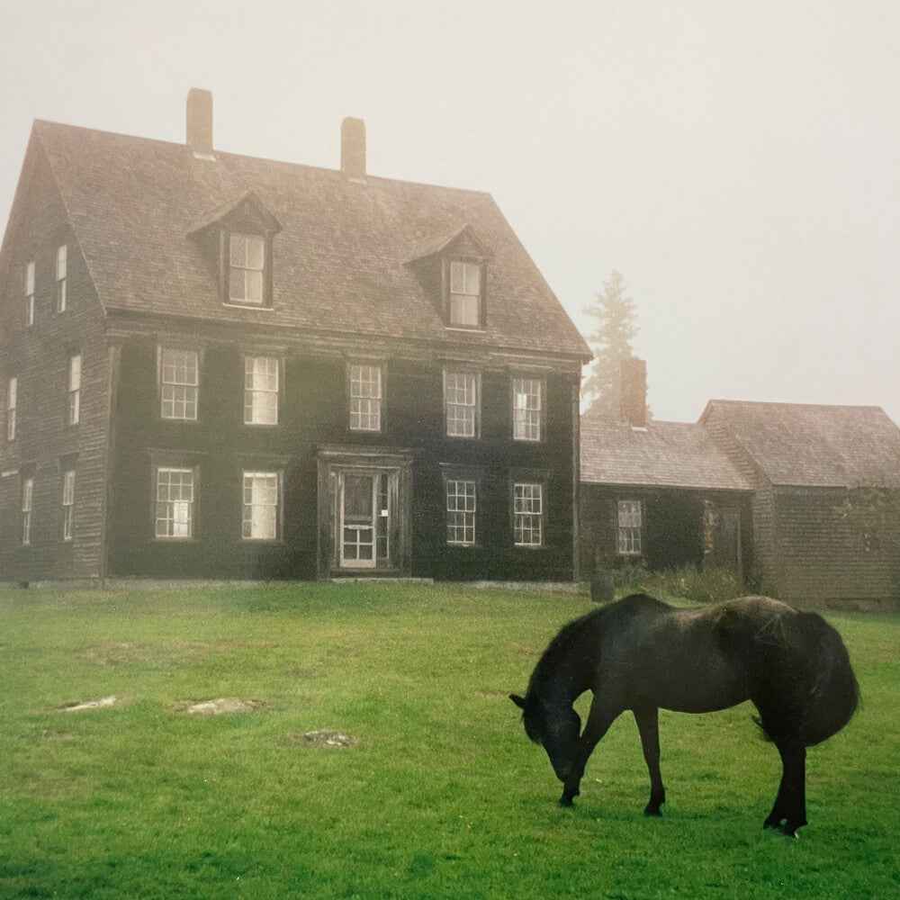Academy - Meadow Green [Colored Vinyl]