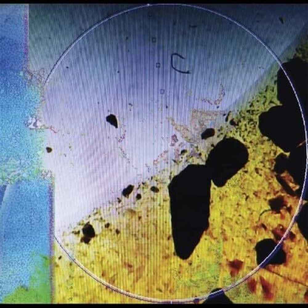 Living In Memory Of Something Sweet [Clear Vinyl] [Limited Edition]
