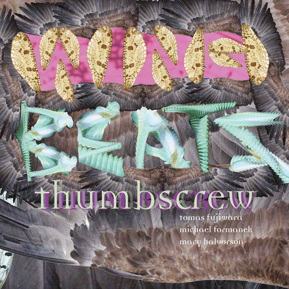 Wingbeats [CD]
