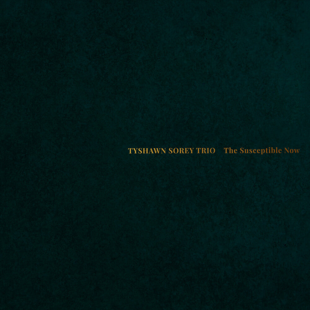 Tyshawn Sorey Trio - Susceptible Now [CD]