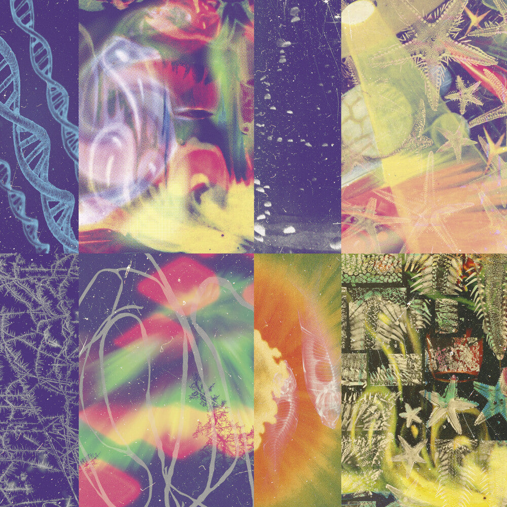 Nap Eyes - Neon Gate [LP] Vinyl Record