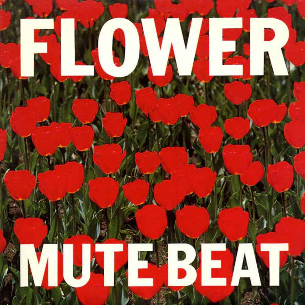 Flower [Limited Edition]