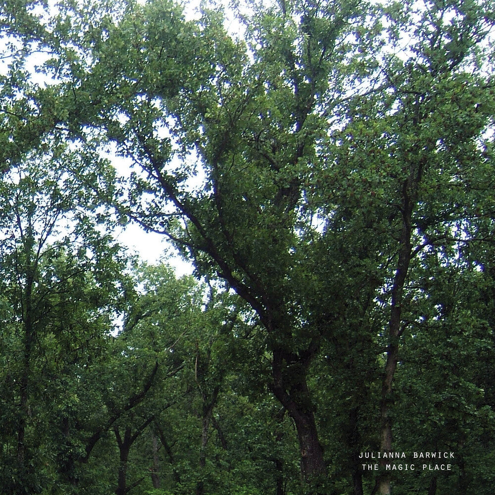 The Magic Place (2024 Remastered) [LP]