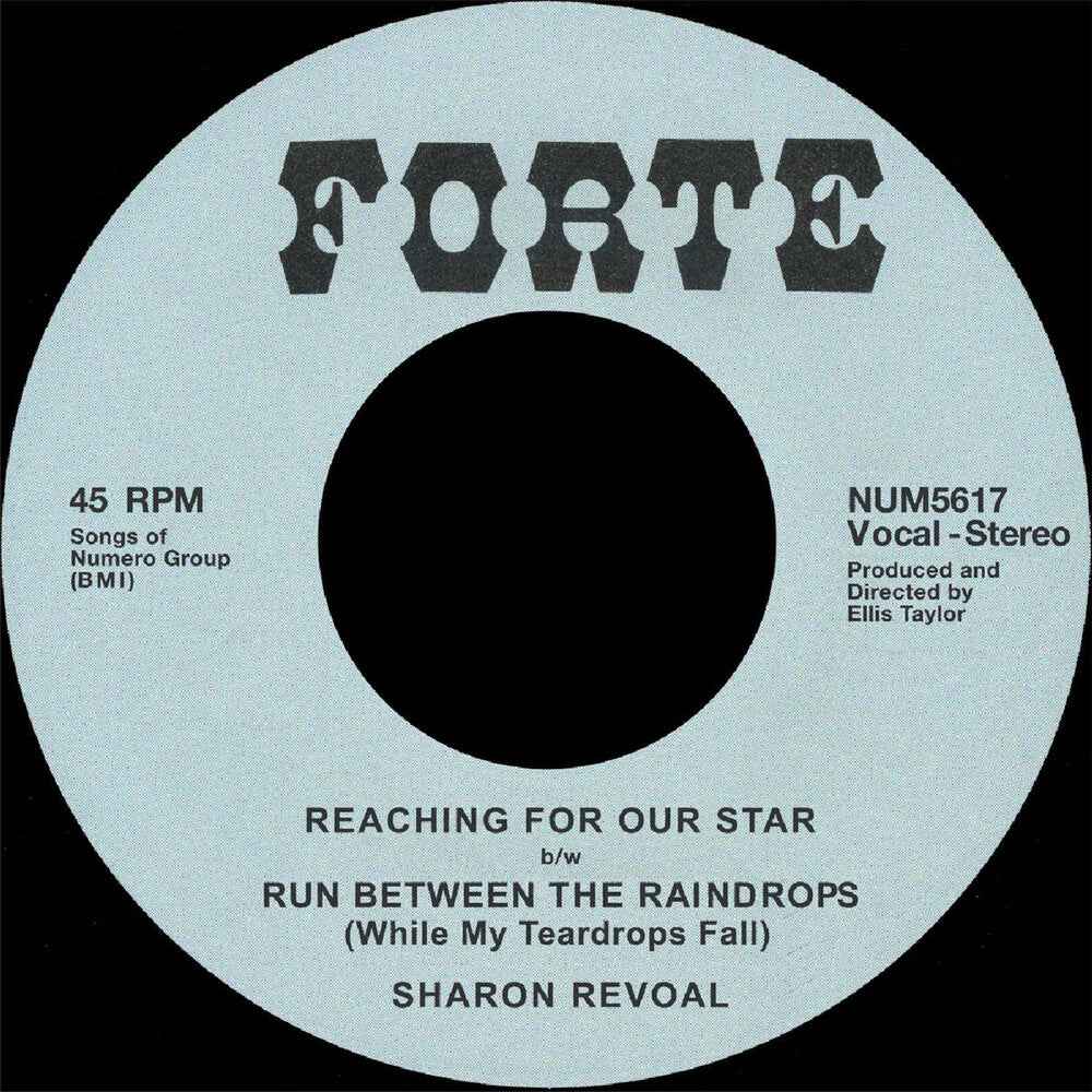 Reaching For Our Star B/W Run Between Raindrops [LP]