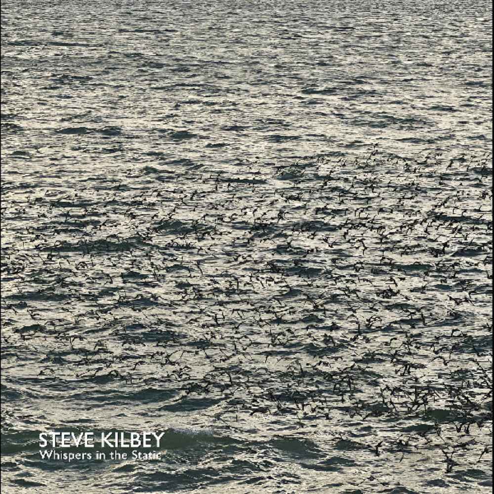 Whispers In The Static [Colored Vinyl] (Gry)