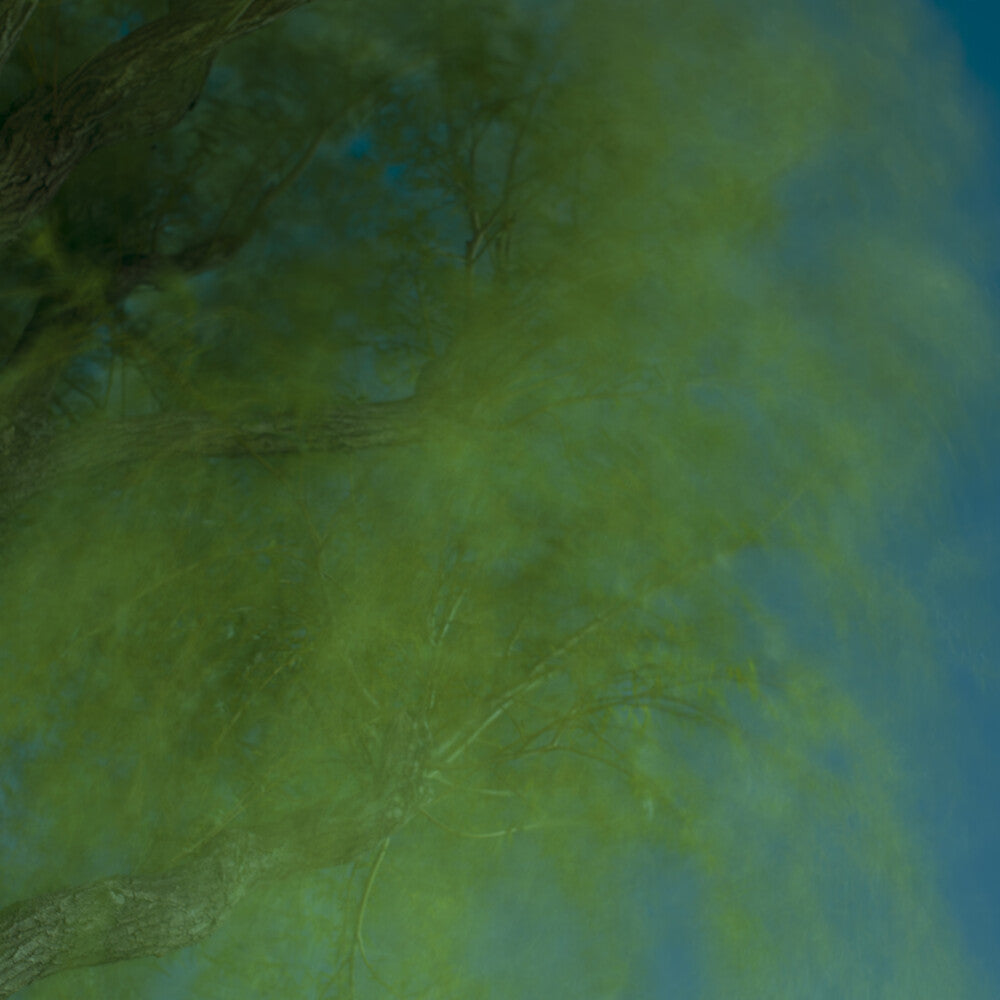 Ebina, Hiroshi - Into The Darkness Of The Night [LP] Vinyl Record