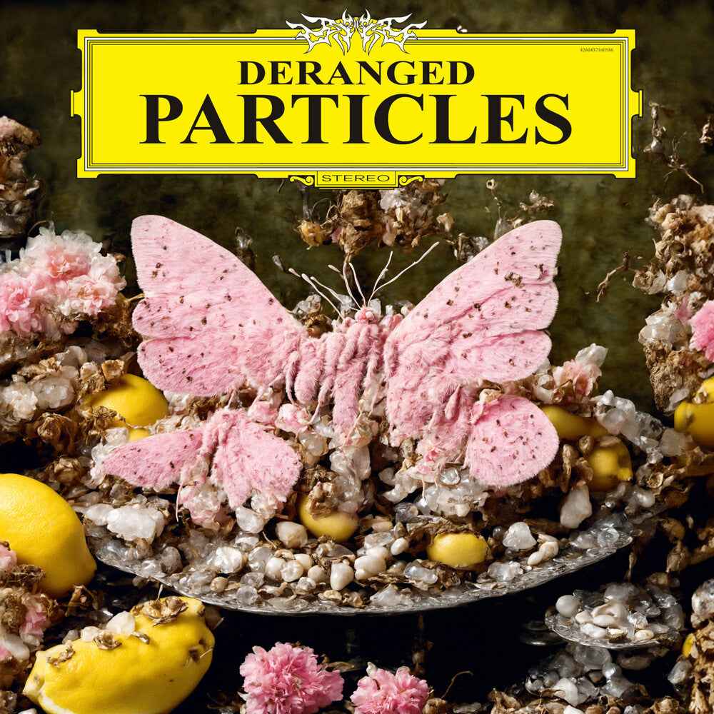 Deranged Particles [LP]
