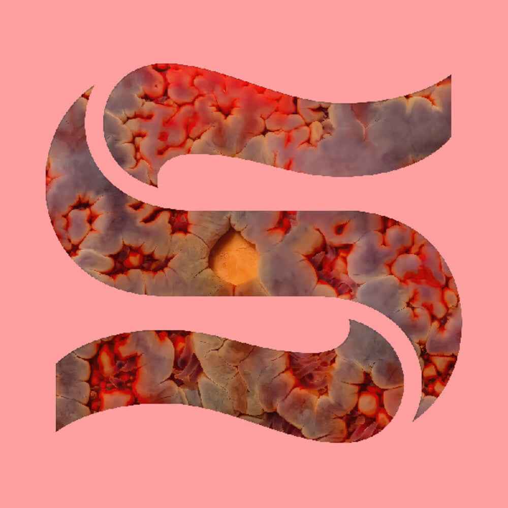 Neptunes [Download Included]