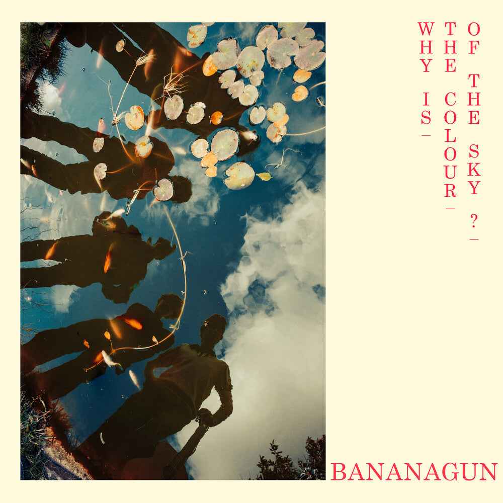 Why Is The Colour Of The Sky [LP]