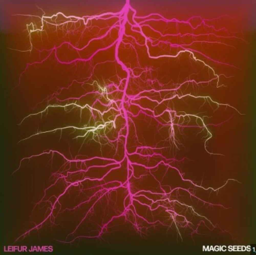 Magic Seeds [LP]