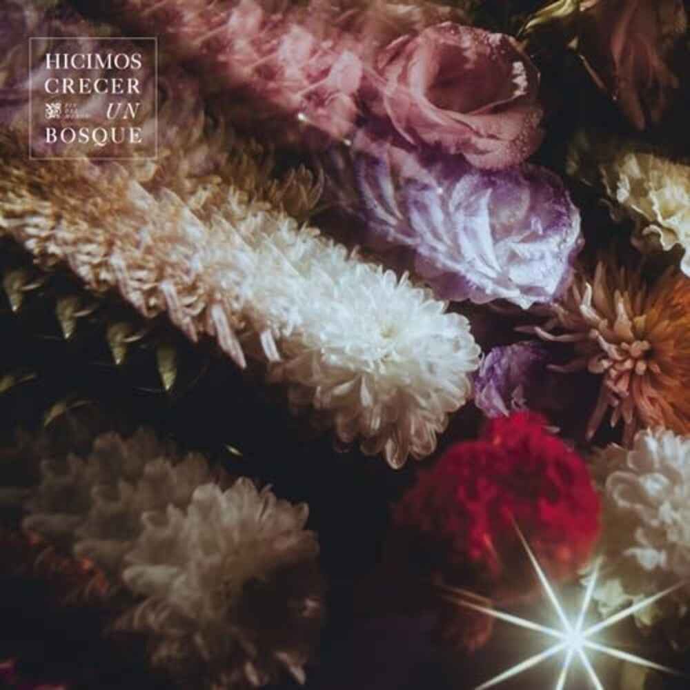 Hicimos Crecer Un Bosque [LP]