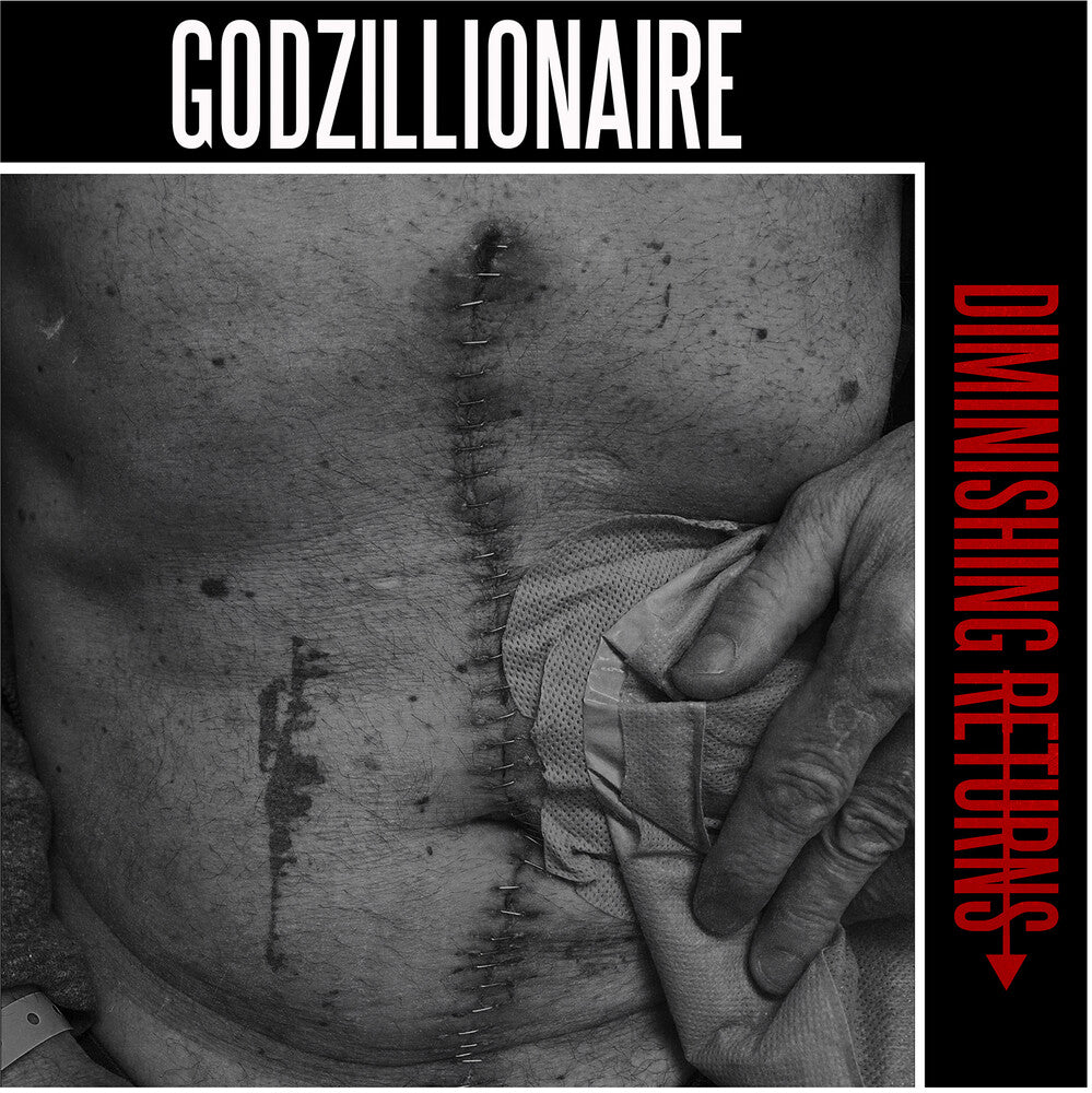 Godzillionaire - Diminishing Returns [LP] Vinyl Record
