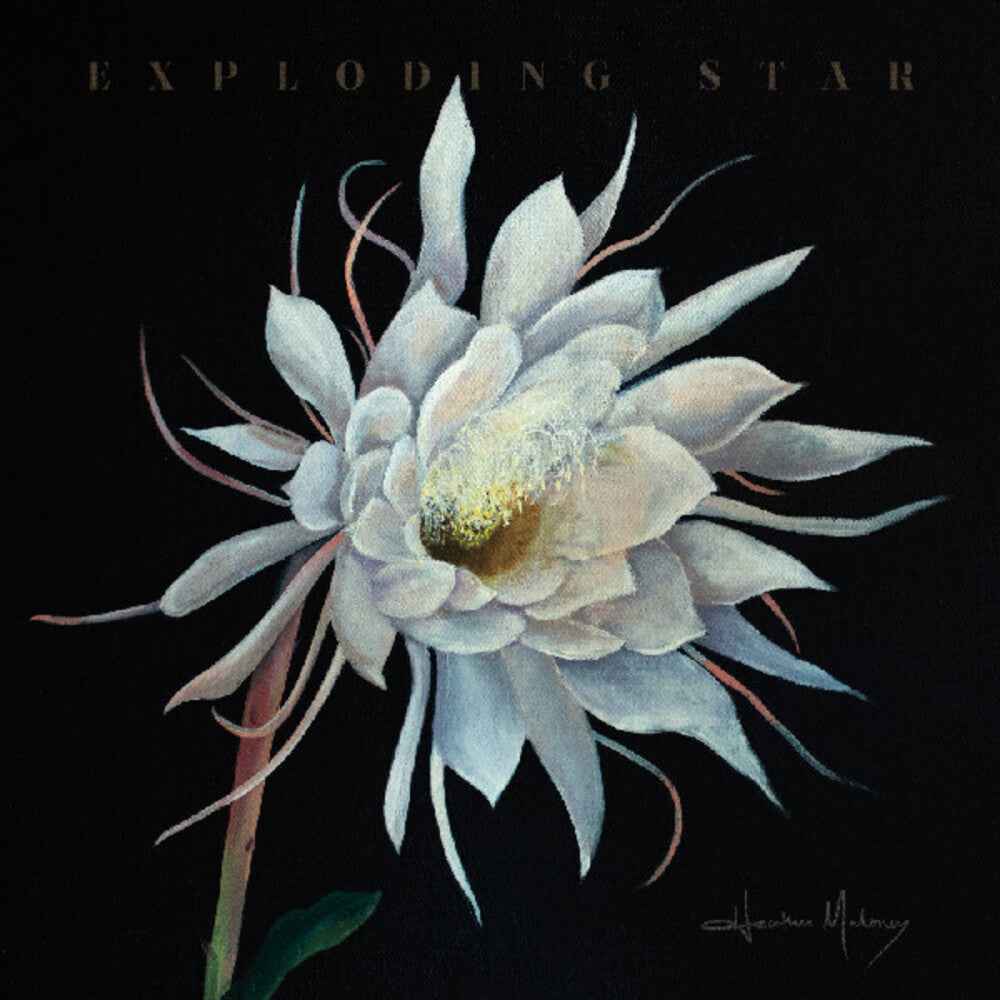 Exploding Star [LP]