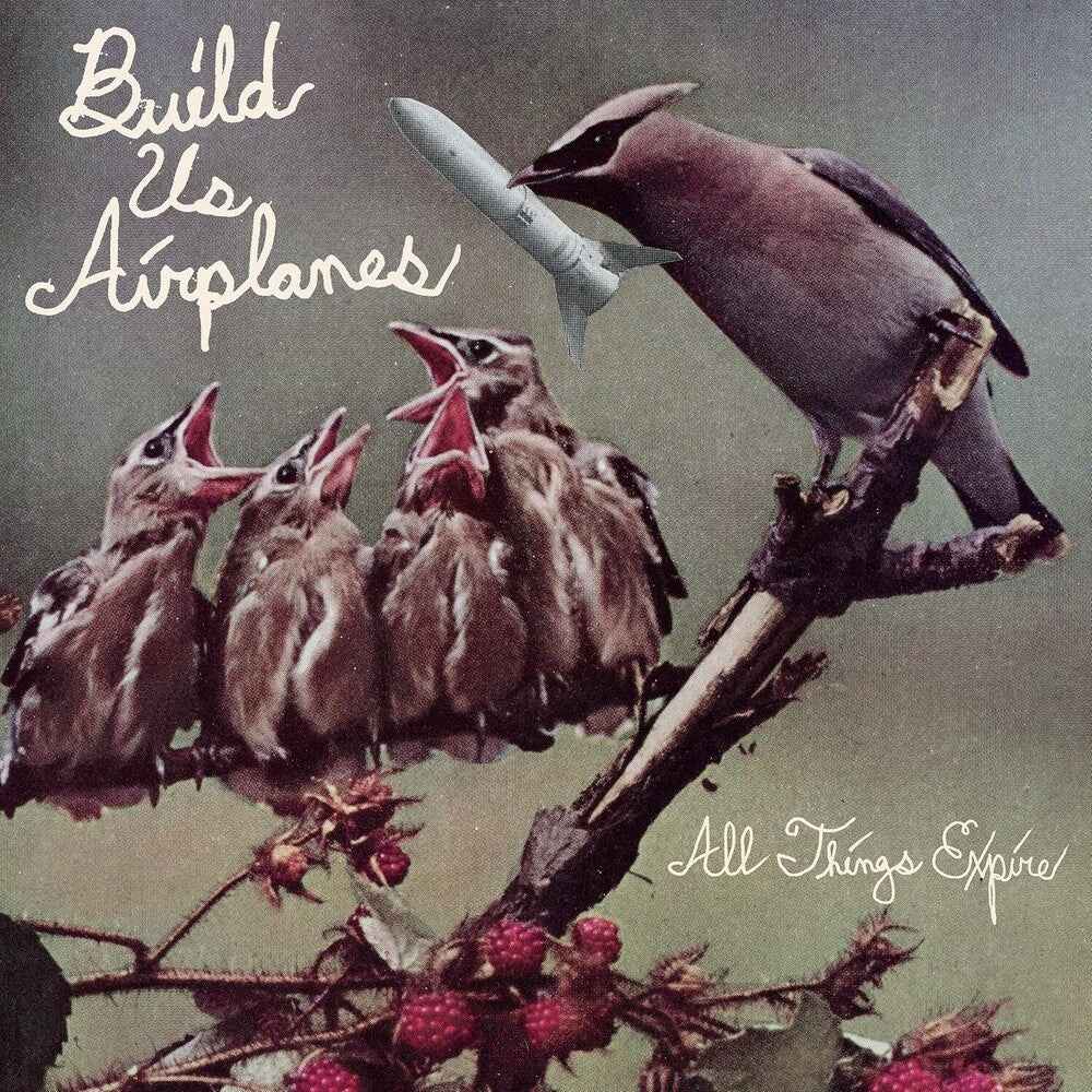 All Things Expire [LP]