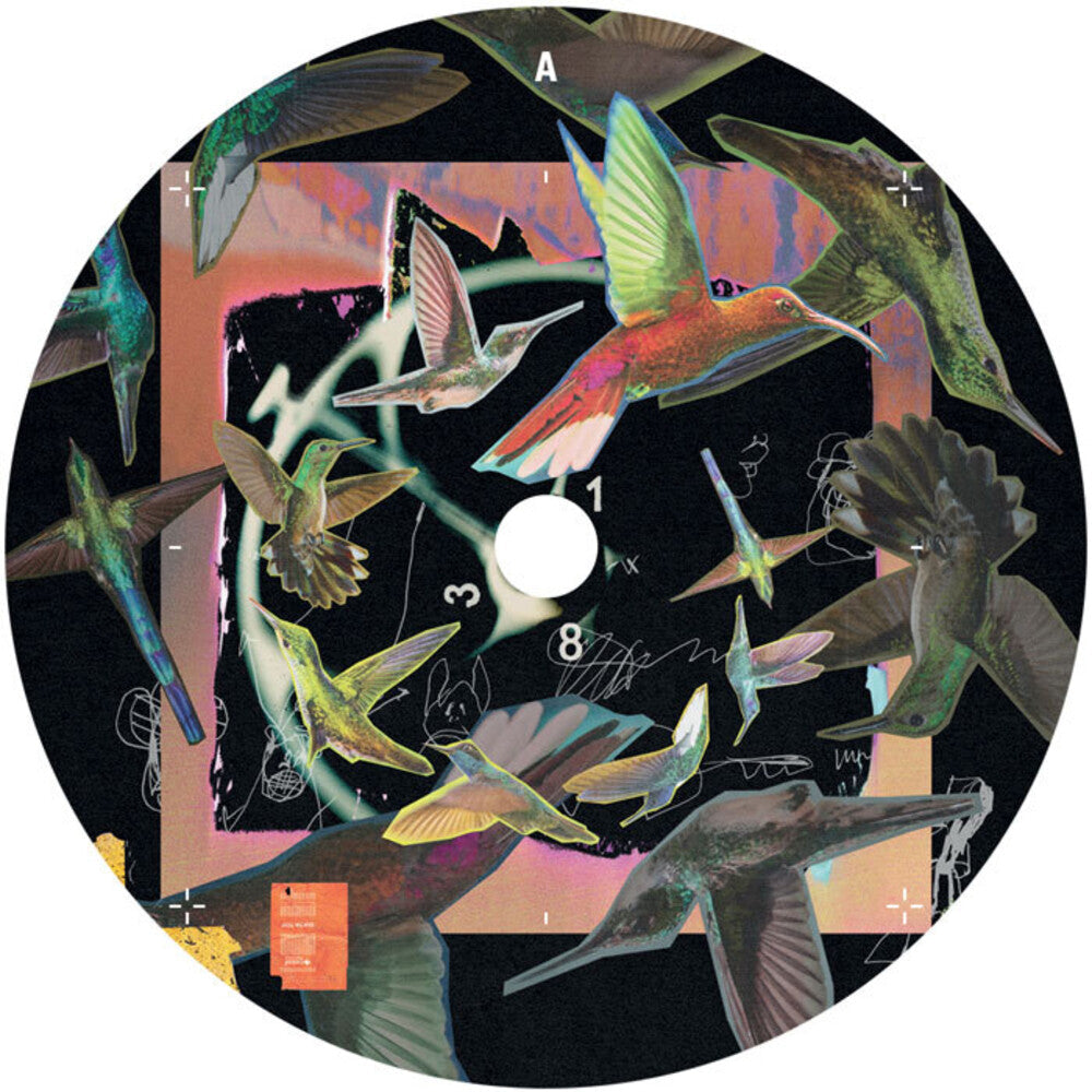 Don't Go [12" Vinyl]