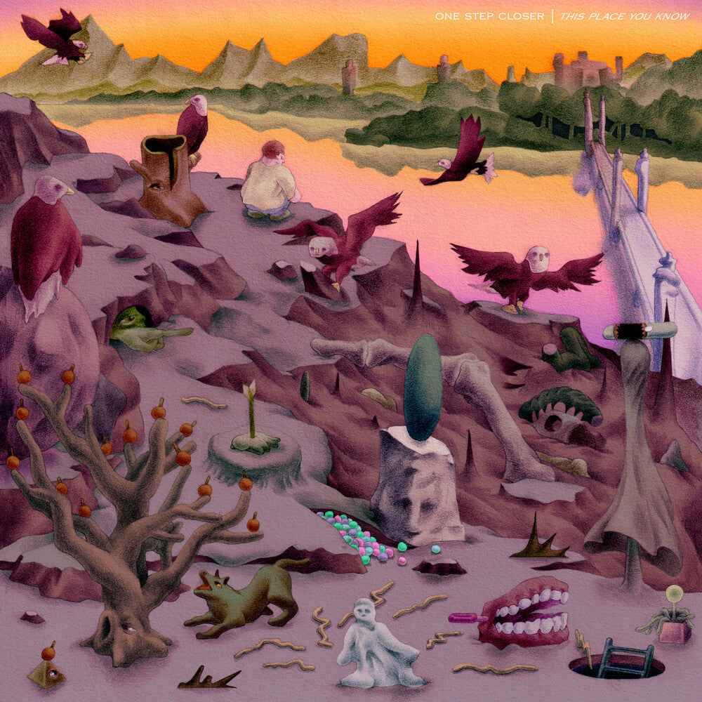 This Place You Know [Colored Vinyl] (Pnk) (Can)