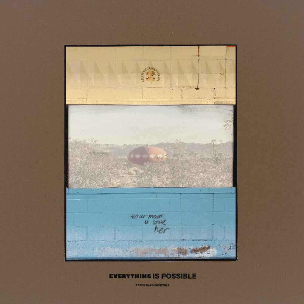 Everything Is Possible [LP]