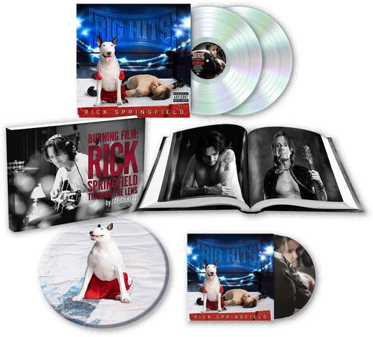 Big Hits: Rick Springfield's Greatest Hits Vol. 2 [LP]