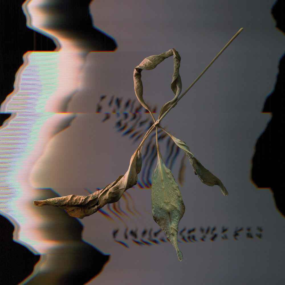 Trill Scan [LP]