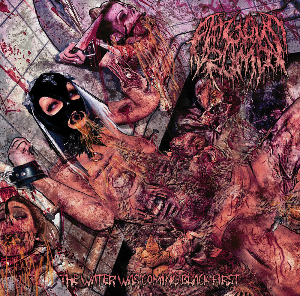 Fatuous Rump - Water Was Coming Black First [CD]