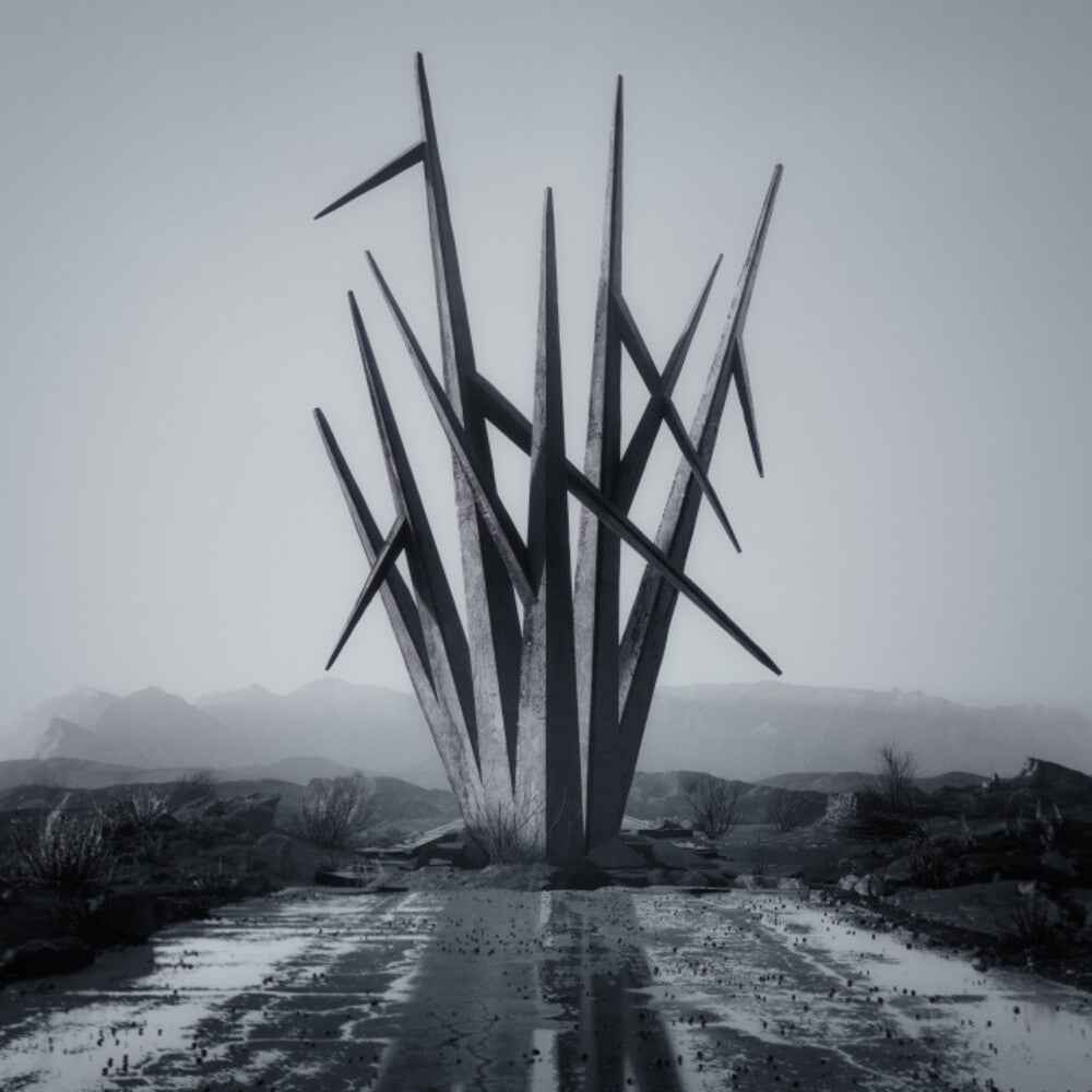 Teeth To Sky [LP]