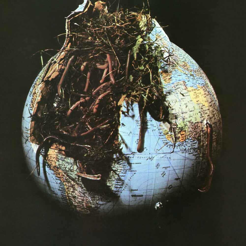 Drosselbart [LP]