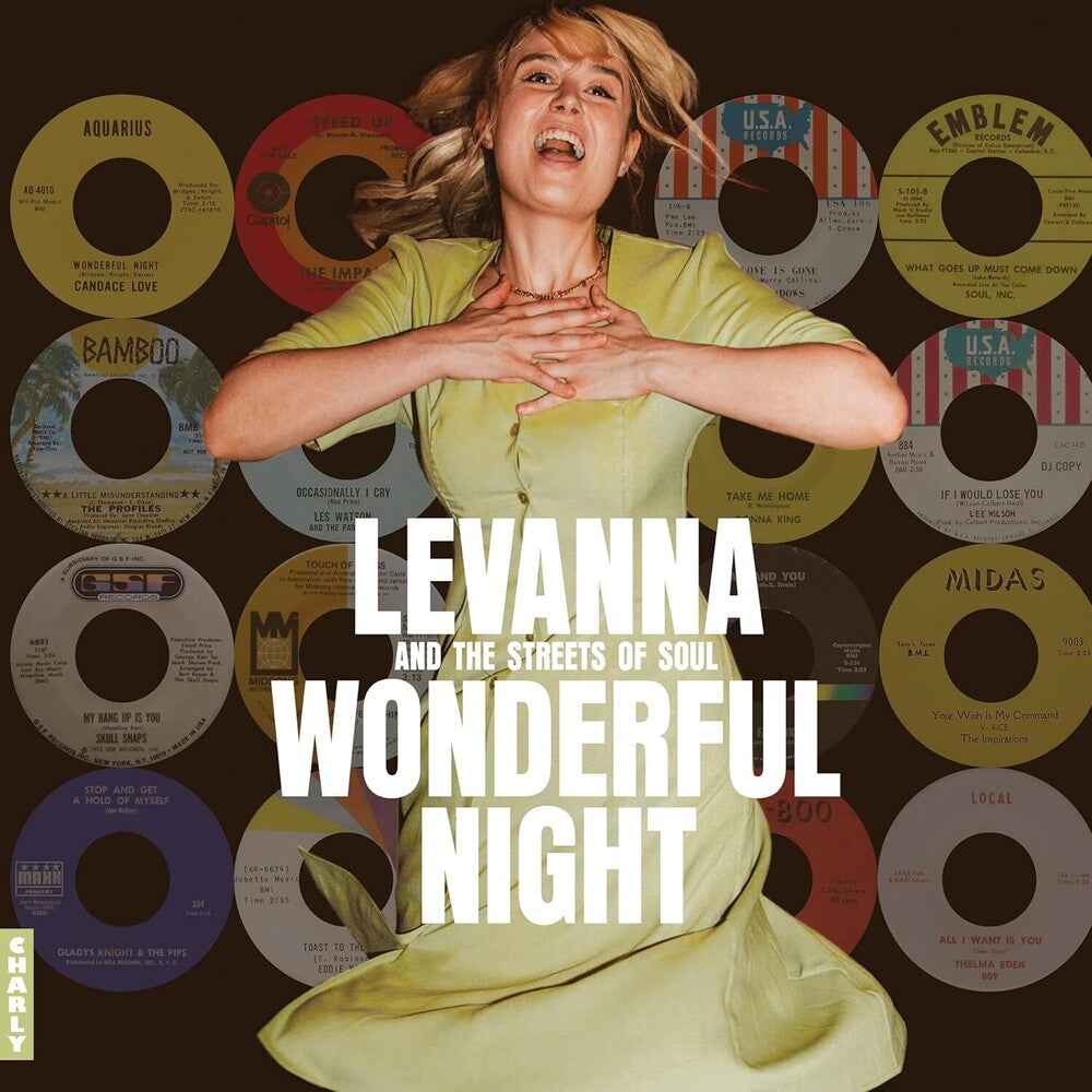 Wonderful Night Curated By Levanna / Various [LP]