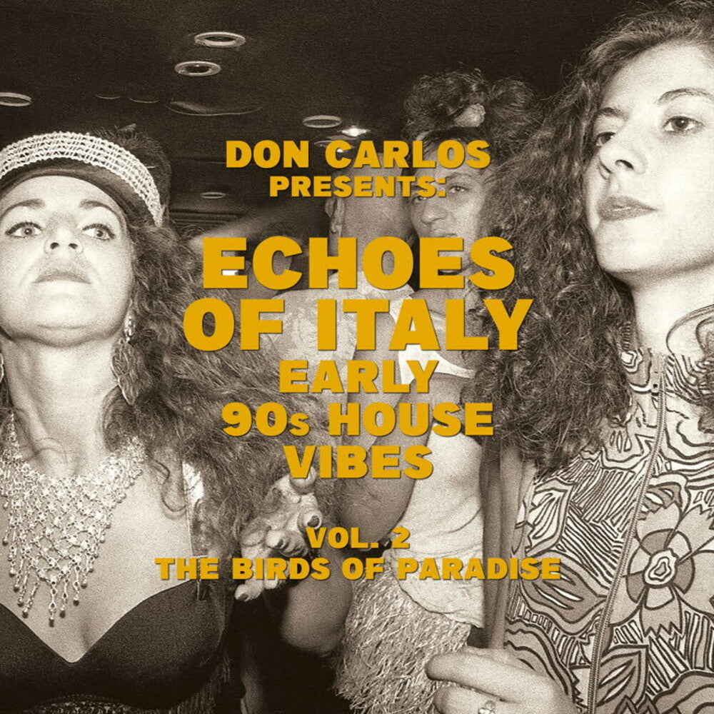 Echoes Of Italy: Early 90's House Vibes Vol. 2 The [LP]