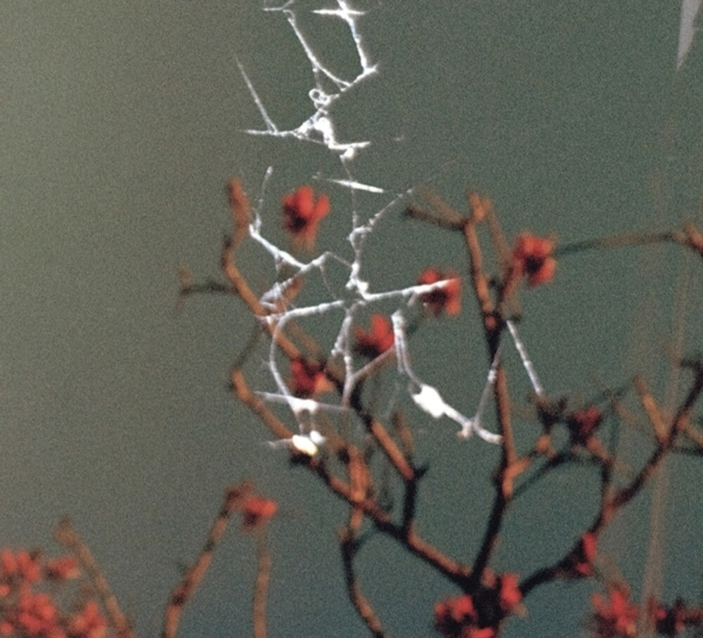 Dale, Jon - Last Blues [CD]