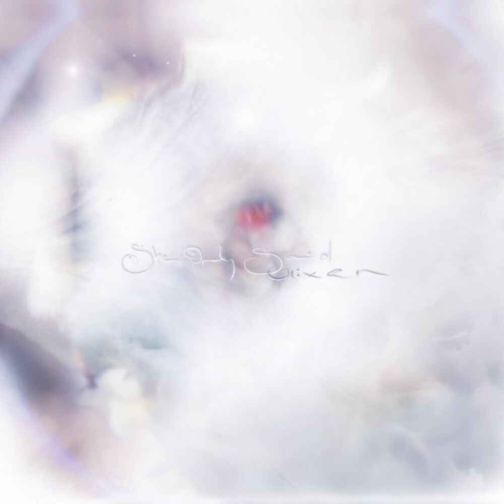 She Only Said [Colored Vinyl] (Red)