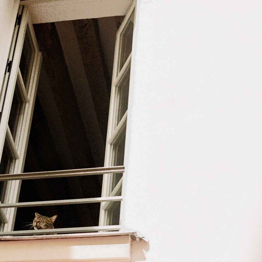 Something Soft [CD]