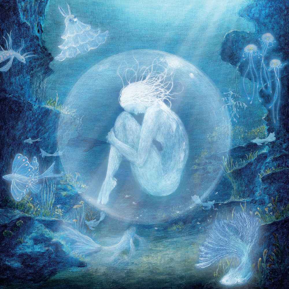 oyster [CD]