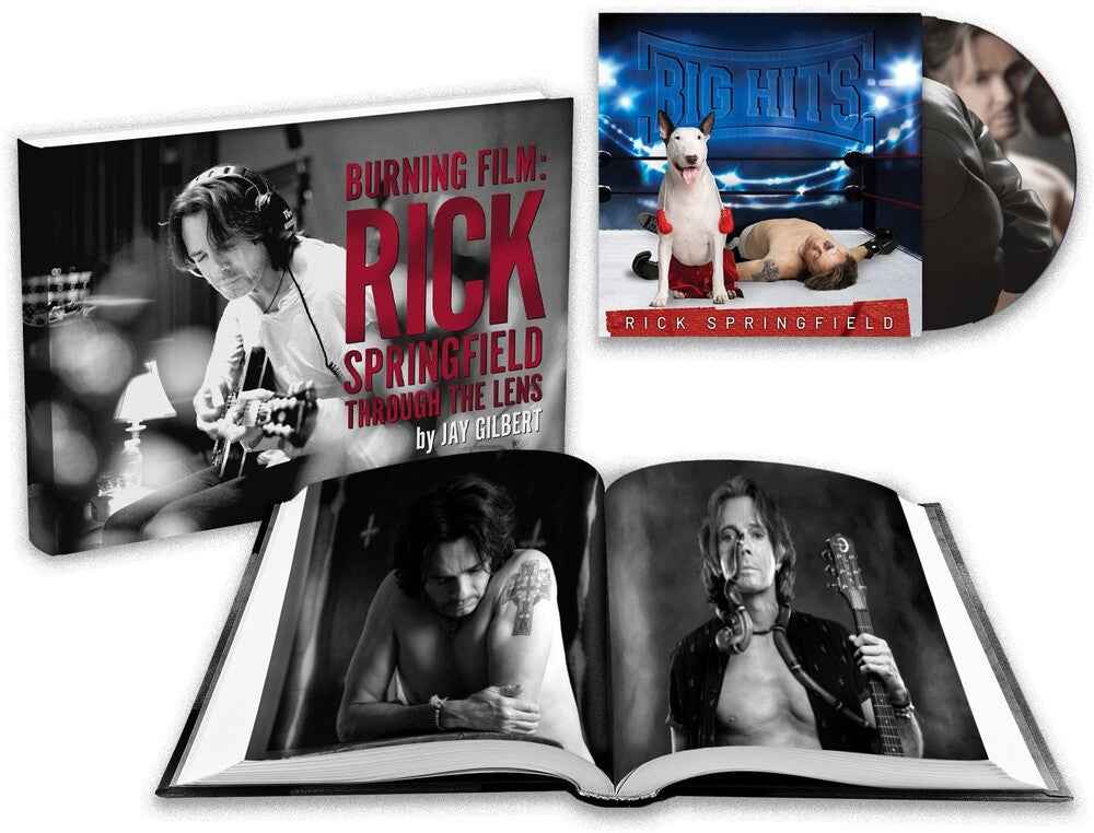 Big Hits: Rick Springfield's Greatest Hits Vol. 2 [CD]
