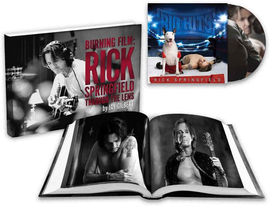 Big Hits: Rick Springfield's Greatest Hits Vol. 2 [CD]