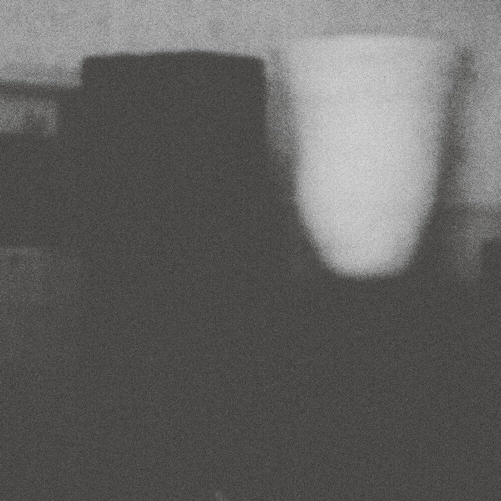 Merzbow - The Prosperity Of Vice, The Misfortune Of Virtue [CD]