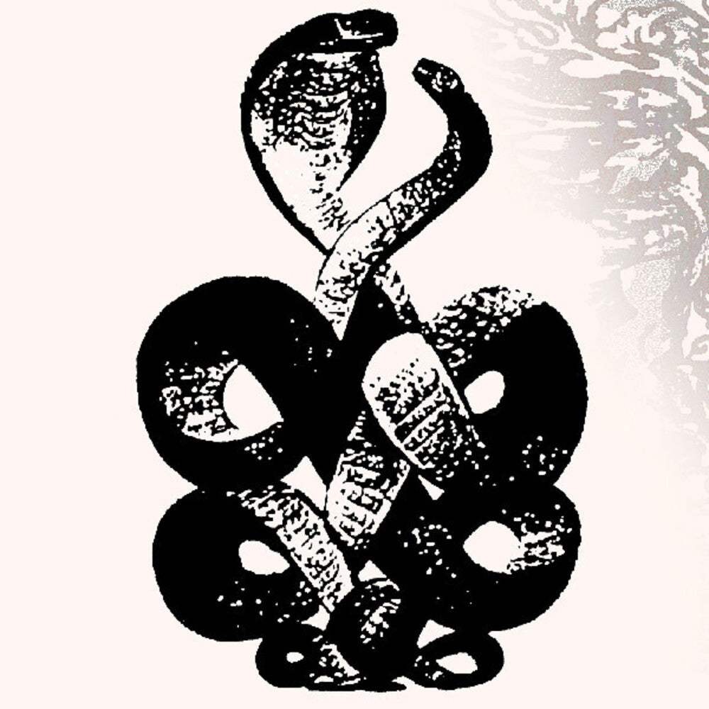 Bardo Pond - Volume 4 & 5 (Gate) [Download Included] Vinyl Record