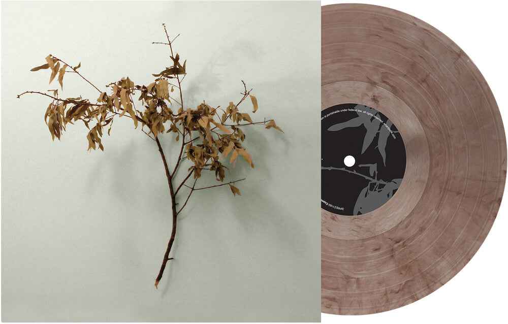 In Motion [Colored Vinyl] (Aniv)